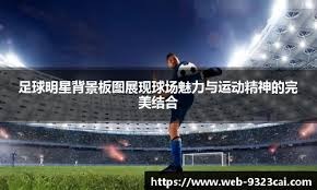 瑞天空：水晶宫已经向拜仁报价博埃，球员表态愿意去英超